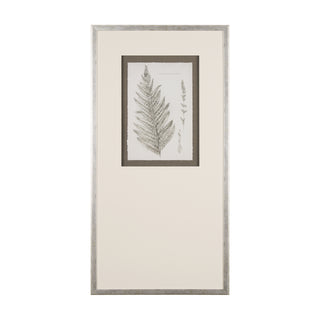 Mercana Hand Embellished Fern Study Collection