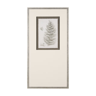 Mercana Hand Embellished Fern Study Collection