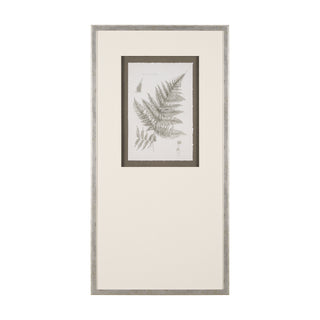 Mercana Hand Embellished Fern Study Collection