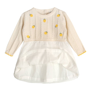 Viverano Lemon Embroidered Tutu Dress