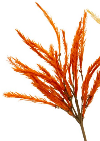 Feathergrass Picks