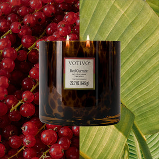 Votivo Tortoise Candles