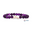 Echo Purple