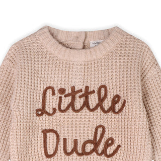 Viverano Baby Boy Little Dude Pullover