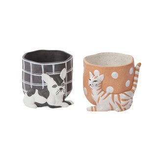 Pampered Pet Pots