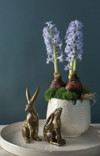 Bea Bunny Collection