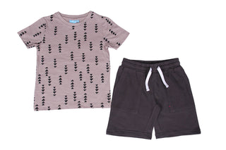 Arrow Active Set