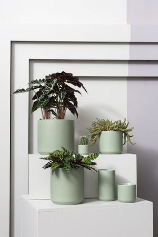 Kendall Pot