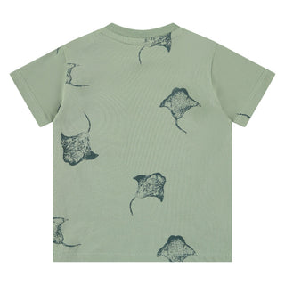 Babyface Boy Tee Manta Ray