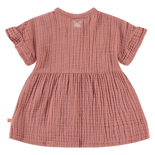 Babyface Baby Girl Dress Redwood