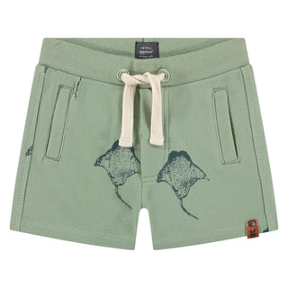 Babyface Boy Shorts Manta Ray